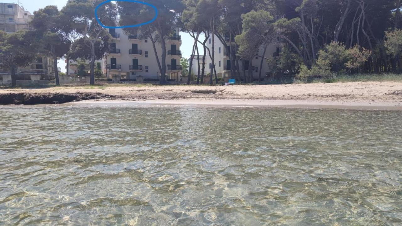 Suite Con Terrazzo Sul Mare E Discesa In Spiaggia A Gallipoli Ngoại thất bức ảnh